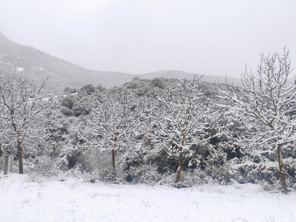 Oneiropagidasuites Kalavryta Dış mekan fotoğraf