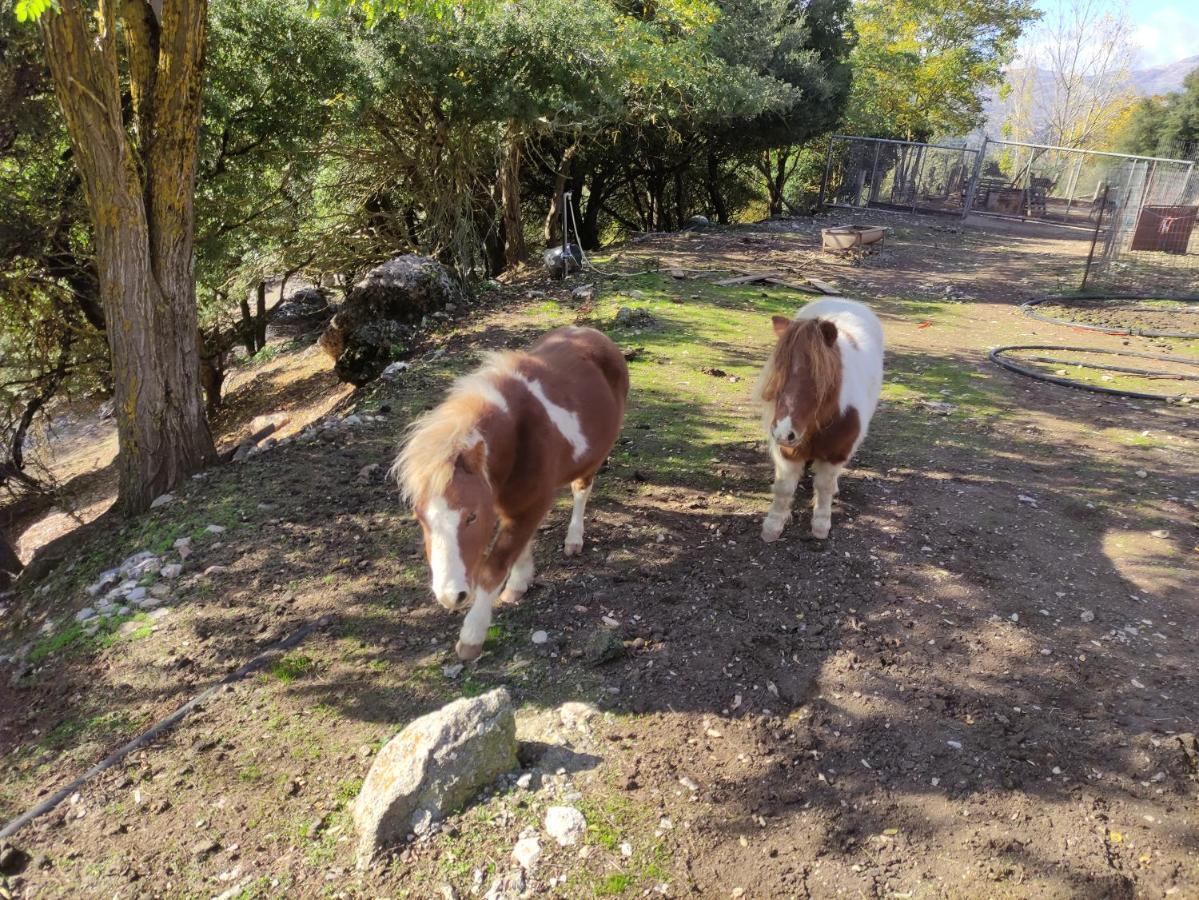 Oneiropagidasuites Kalavryta Dış mekan fotoğraf