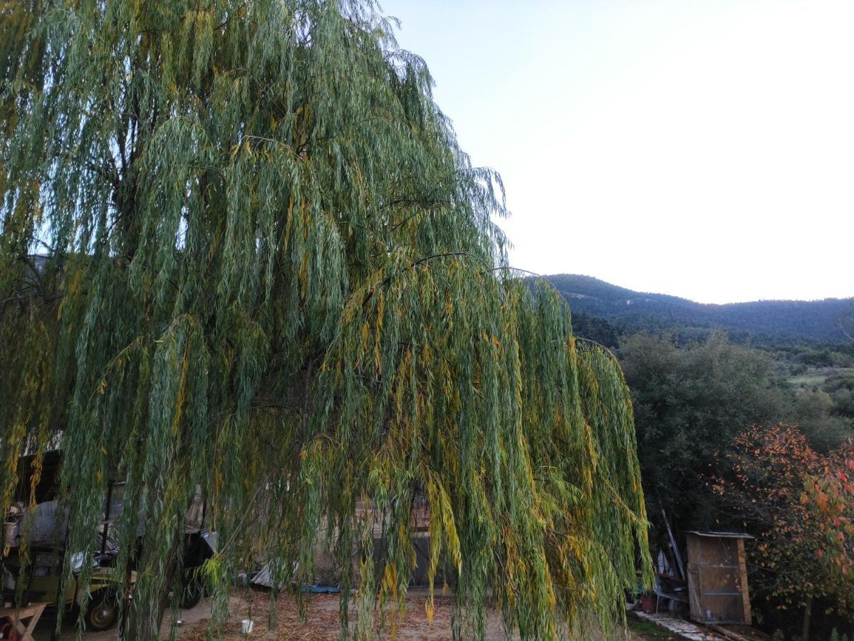 Oneiropagidasuites Kalavryta Dış mekan fotoğraf