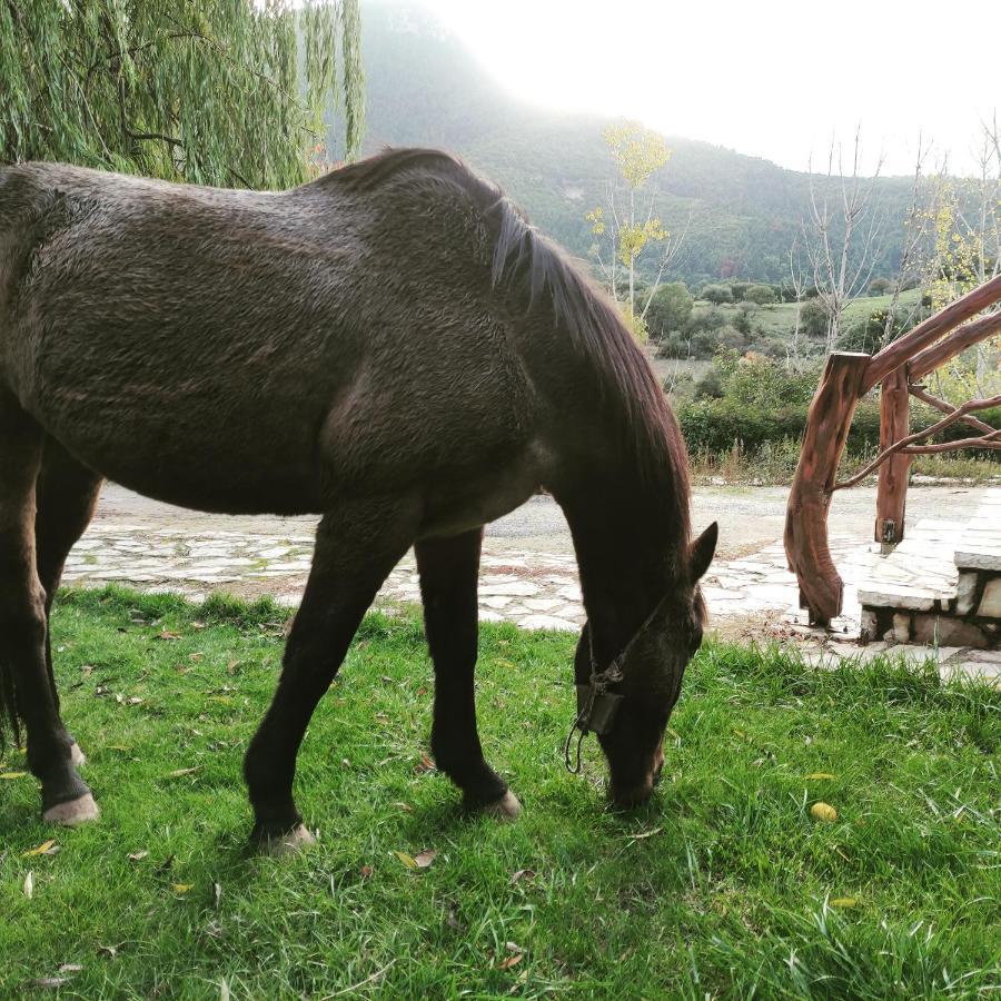 Oneiropagidasuites Kalavryta Dış mekan fotoğraf