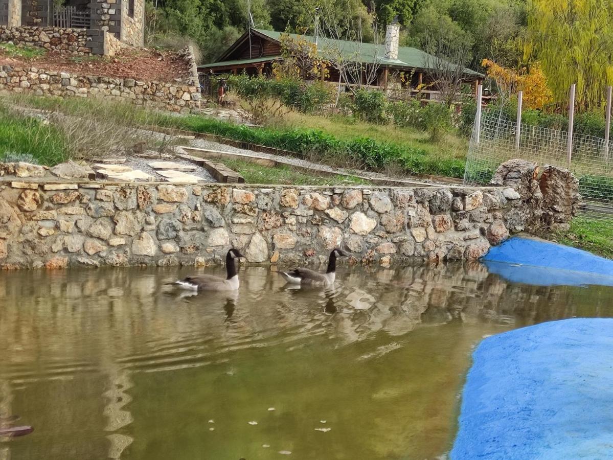 Oneiropagidasuites Kalavryta Dış mekan fotoğraf