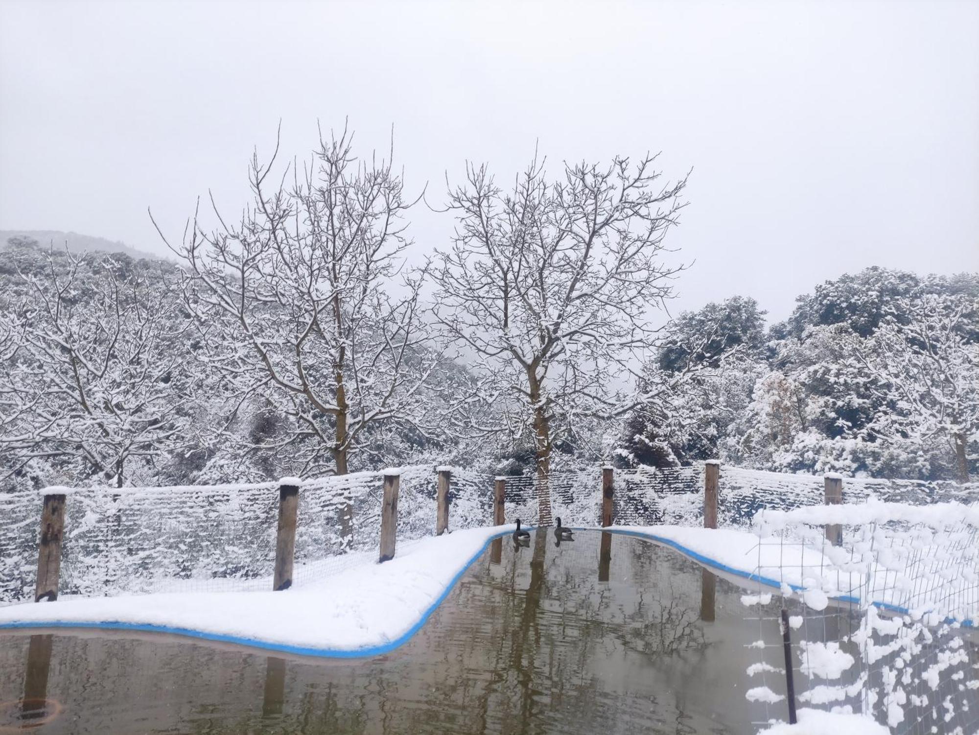 Oneiropagidasuites Kalavryta Dış mekan fotoğraf