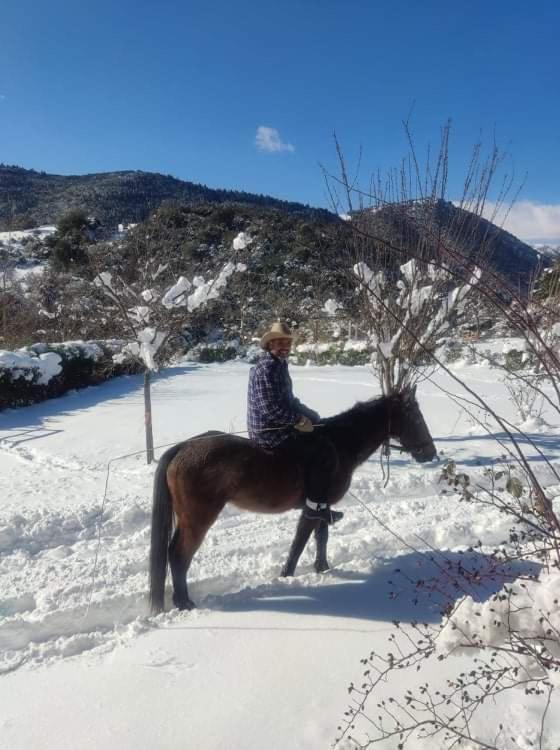Oneiropagidasuites Kalavryta Dış mekan fotoğraf