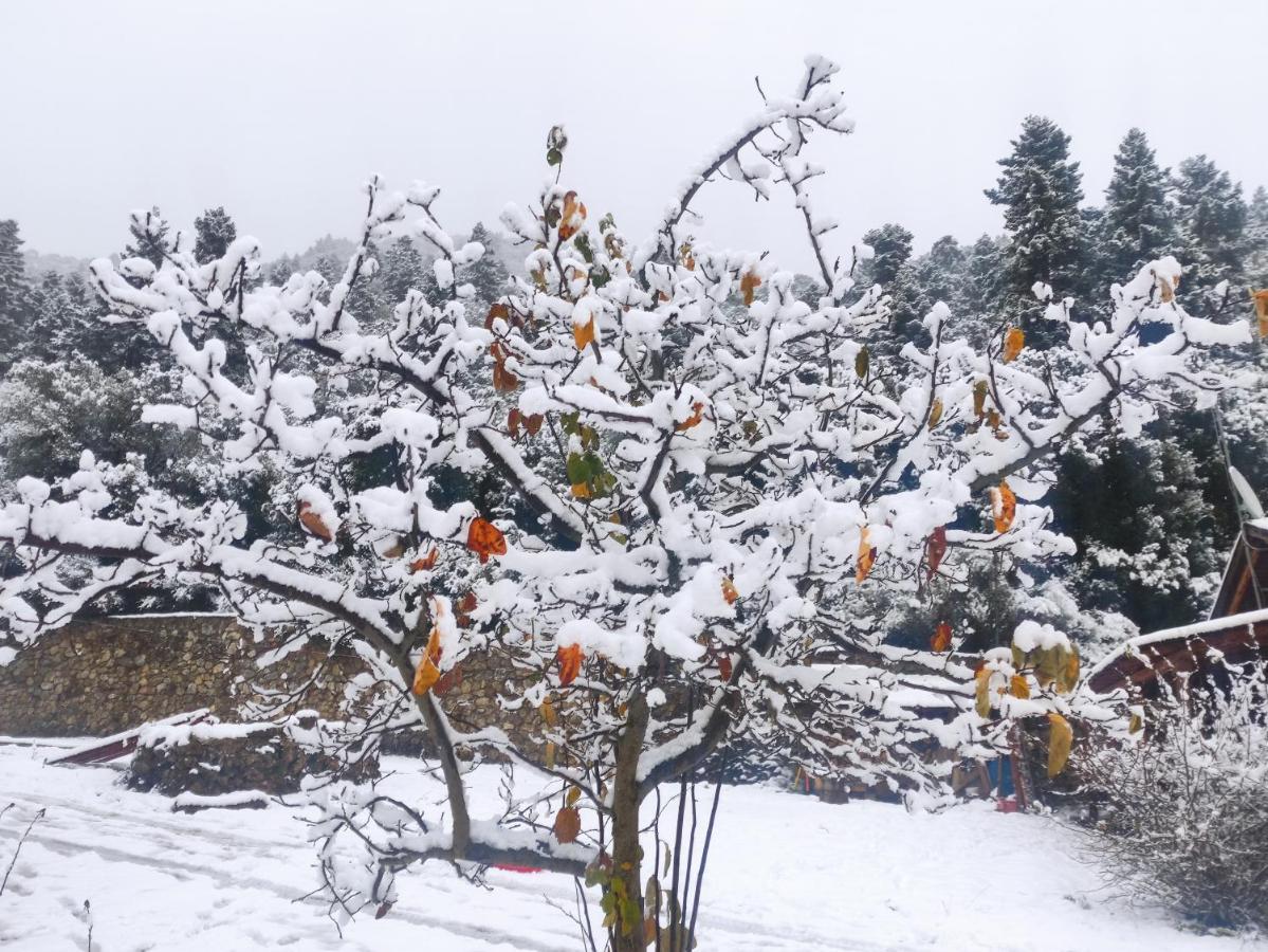 Oneiropagidasuites Kalavryta Dış mekan fotoğraf