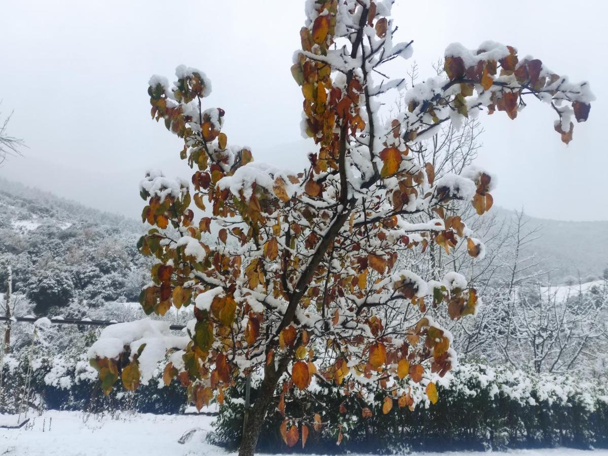 Oneiropagidasuites Kalavryta Dış mekan fotoğraf