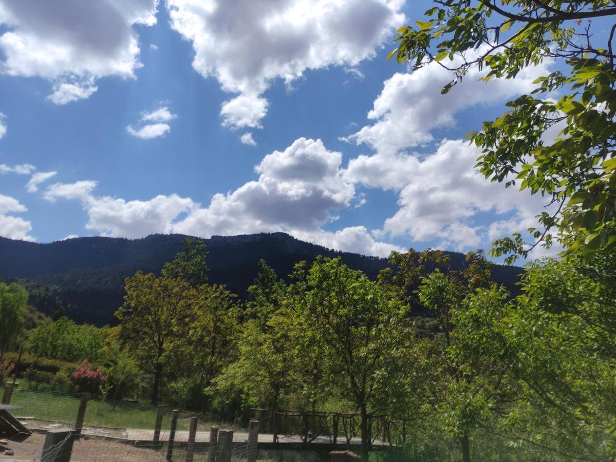 Oneiropagidasuites Kalavryta Dış mekan fotoğraf